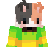 blizardmc's skin