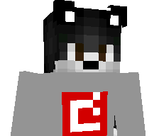 Metelplayer2021's skin