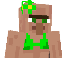 WslayerW's skin