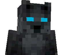Salers's skin
