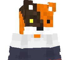 BKSKJ's skin