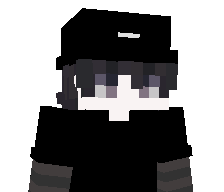 zig38's skin