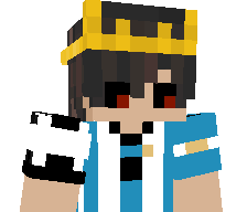 NOT_GOKU_'s skin