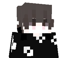 CritzorPL's skin