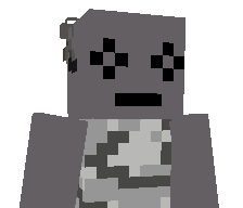 ny_max's skin