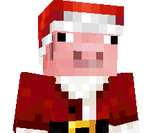 WortexGaming1452's skin