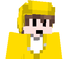 T0iletNinja's skin