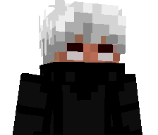 v1xn's skin