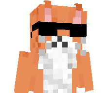 OrangeCat254's skin