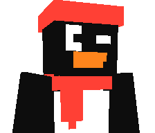 Twinset's skin