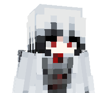 224228's skin