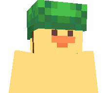 brrbrrblazej's skin