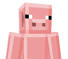 Cyberkillerplayz's skin