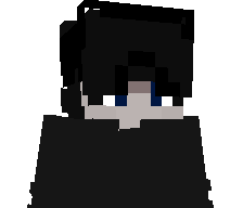 pong1wk's skin