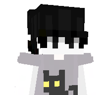 Foilss's skin