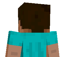 LostToastt's skin