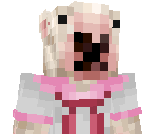 Robotgamer136's skin