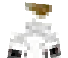 IgoonLITE's skin