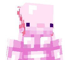 Diyeon's skin