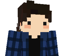 LandM1ne's skin