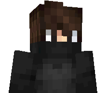 woolctf's skin