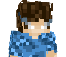 LinkyC2's skin