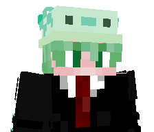 bnSontrix's skin