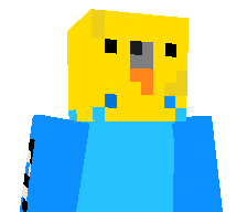 HunterPVP's skin
