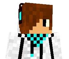 _wshady's skin