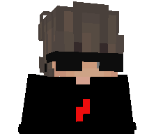 91_WSFCW_12_11's skin