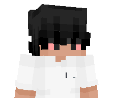 IBlockState's skin