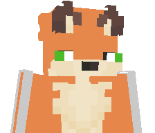 Airfoox's skin