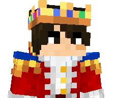 Nullzx11's skin