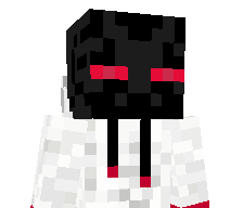 ME110W's skin