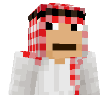 Mr_F1st3r's skin