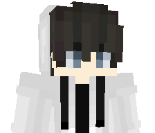 110011011's skin