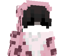 VVilkv's skin