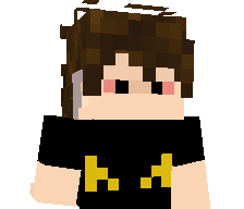 XnB_Bw's skin