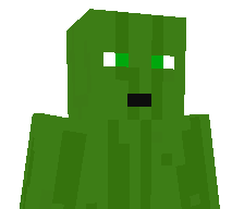 bumbiergurkis's skin
