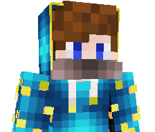 CodingCoin's skin
