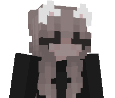PopCatJRR's skin
