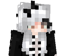 xiaobaizai's skin