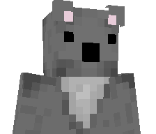 NoKoala's skin
