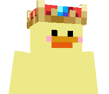 T9H5's skin