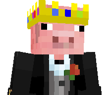 mineplays12's skin