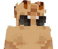 _Simx_PL's skin