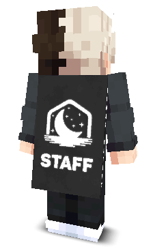 Back angle of Minecraft Skin of Zuxt