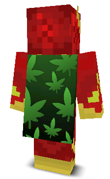 Back angle of Minecraft Skin of TrentinTheKid