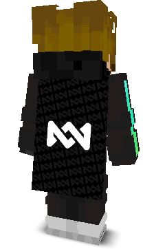 Back angle of Minecraft Skin of Delta