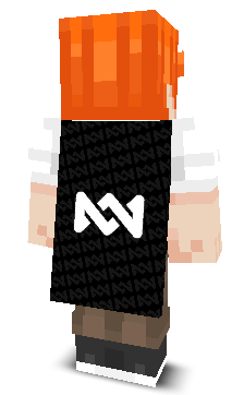 Back angle of Minecraft Skin of Wowy